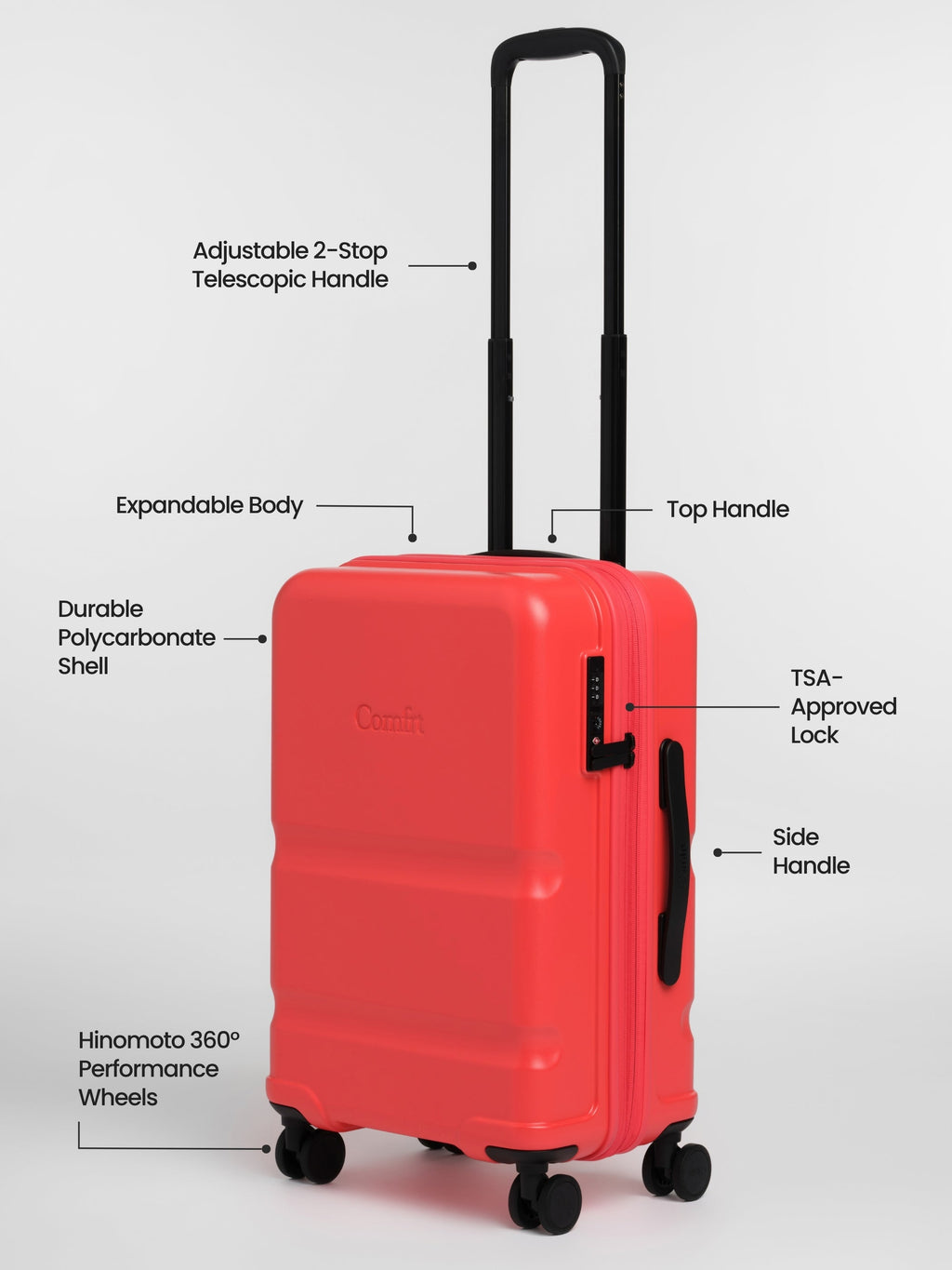 Carry-On Companion Luggage