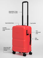 Carry-On Companion Luggage