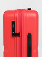 Carry-On Companion Luggage