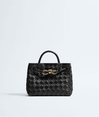 Bottega Veneta Mini Andiamo